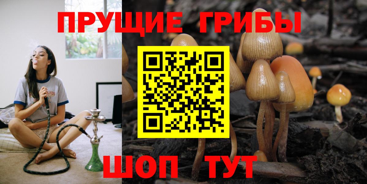 Псилоцибиновые грибы Magic Shrooms  Вход с VPN  Балашов  Галлюциногенные грибы Cubensis 